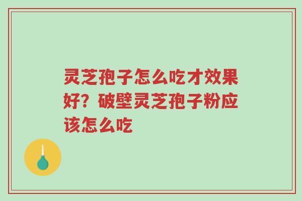 灵芝孢子怎么吃才效果好？破壁灵芝孢子粉应该怎么吃-第1张图片-超越
