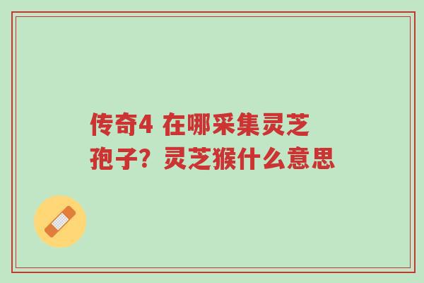 传奇4 在哪采集灵芝孢子?灵芝猴什么意思-第1张图片-超越 传奇4 在哪采集灵芝孢子?灵芝猴什么意思-第1张图片-超越
