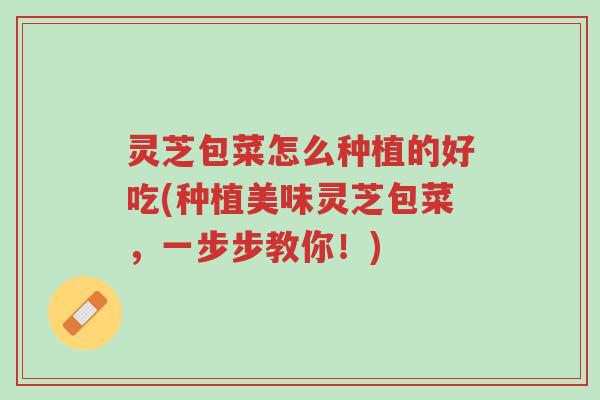 灵芝包菜怎么种植的好吃(种植美味灵芝包菜，一步步教你！)-第1张图片-超越