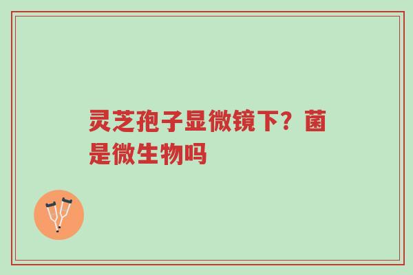 灵芝孢子显微镜下?菌是微生物吗-第1张图片-超越 灵芝孢子显微镜下?菌是微生物吗-第1张图片-超越