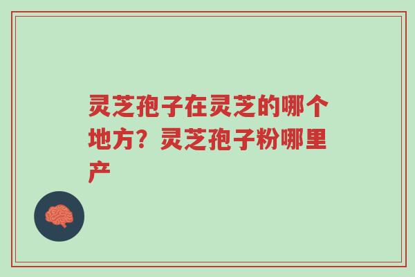 灵芝孢子在灵芝的哪个地方?灵芝孢子粉哪里产-第1张图片-超越 灵芝孢子在灵芝的哪个地方?灵芝孢子粉哪里产-第1张图片-超越