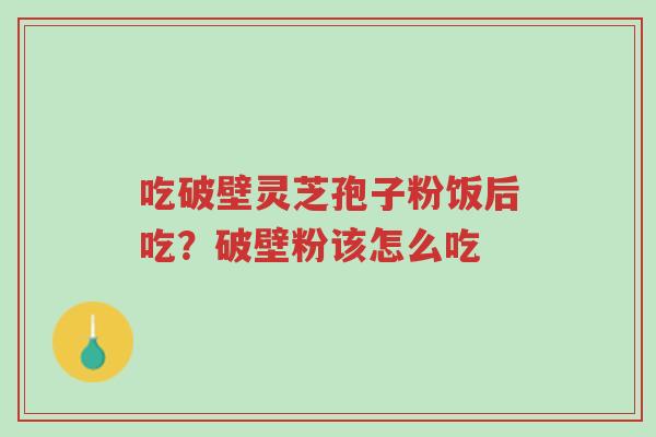 吃破壁灵芝孢子粉饭后吃?破壁粉该怎么吃-第1张图片-超越 吃破壁灵芝孢子粉饭后吃?破壁粉该怎么吃-第1张图片-超越
