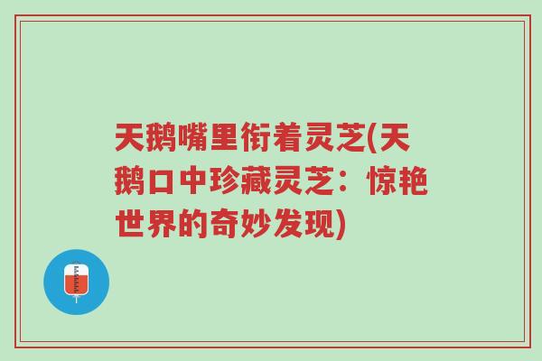 天鹅嘴里衔着灵芝(天鹅口中珍藏灵芝:惊艳世界的奇妙发现)-第1张图片-超越 天鹅嘴里衔着灵芝(天鹅口中珍藏灵芝:惊艳世界的奇妙发现)-第1张图片-超越