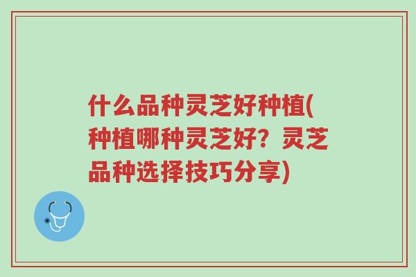什么品种灵芝好种植(种植哪种灵芝好?灵芝品种选择技巧分享)-第1张图片-超越 什么品种灵芝好种植(种植哪种灵芝好?灵芝品种选择技巧分享)-第1张图片-超越