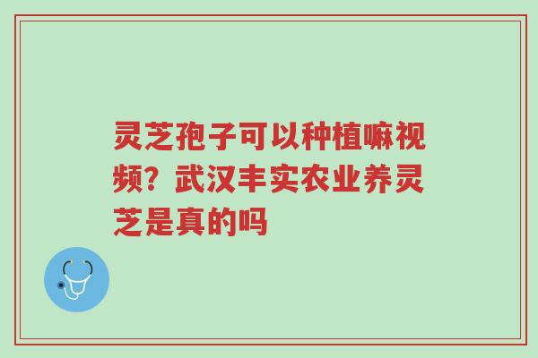 灵芝孢子可以种植嘛视频?武汉丰实农业养灵芝是真的吗-第1张图片-超越 灵芝孢子可以种植嘛视频?武汉丰实农业养灵芝是真的吗-第1张图片-超越