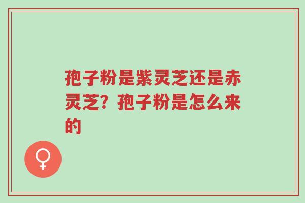 孢子粉是紫灵芝还是赤灵芝?孢子粉是怎么来的-第1张图片-超越 孢子粉是紫灵芝还是赤灵芝?孢子粉是怎么来的-第1张图片-超越