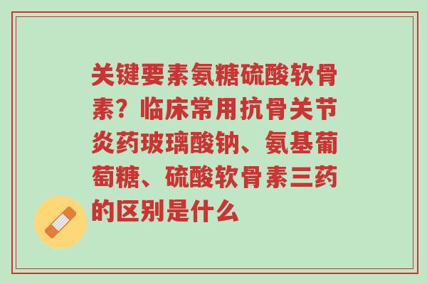 关键要素氨糖硫酸软骨素?临床常用抗骨关节炎药玻璃酸钠、氨基葡萄糖、硫酸软骨素三药的区别是什么-第1张图片-超越 关键要素氨糖硫酸软骨素?临床常用抗骨关节炎药玻璃酸钠、氨基葡萄糖、硫酸软骨素三药的区别是什么-第1张图片-超越
