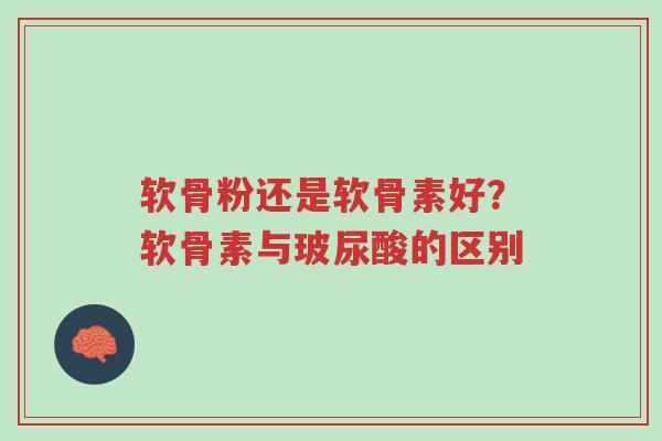 软骨粉还是软骨素好?软骨素与玻尿酸的区别-第1张图片-超越 软骨粉还是软骨素好?软骨素与玻尿酸的区别-第1张图片-超越
