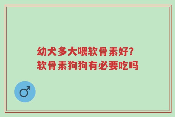 幼犬多大喂软骨素好？软骨素狗狗有必要吃吗-第1张图片-超越