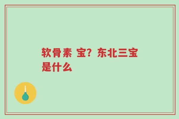 软骨素 宝?东北三宝是什么-第1张图片-超越 软骨素 宝?东北三宝是什么-第1张图片-超越