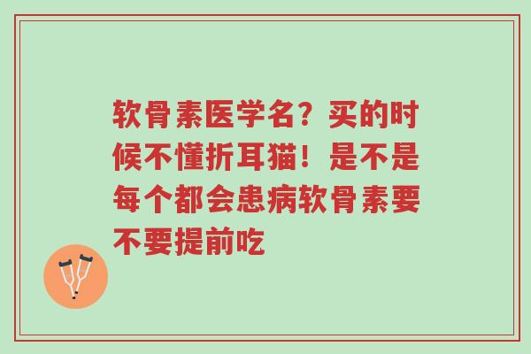 软骨素医学名?买的时候不懂折耳猫!是不是每个都会患病软骨素要不要提前吃-第1张图片-超越 软骨素医学名?买的时候不懂折耳猫!是不是每个都会患病软骨素要不要提前吃-第1张图片-超越