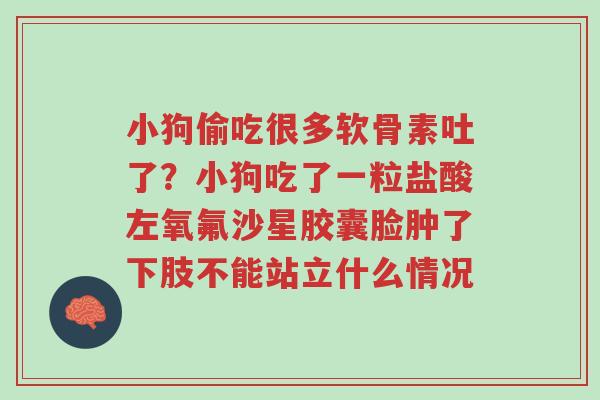 小狗偷吃很多软骨素吐了?小狗吃了一粒盐酸左氧氟沙星胶囊脸肿了下肢不能站立什么情况-第1张图片-超越 小狗偷吃很多软骨素吐了?小狗吃了一粒盐酸左氧氟沙星胶囊脸肿了下肢不能站立什么情况-第1张图片-超越
