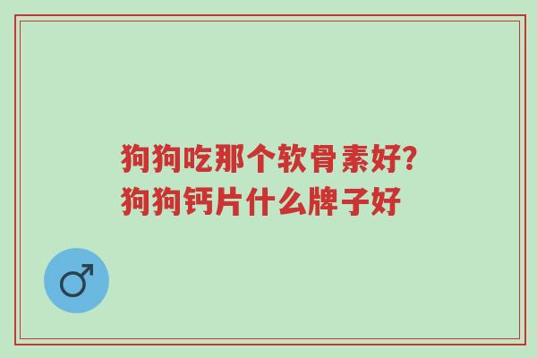 狗狗吃那个软骨素好?狗狗钙片什么牌子好-第1张图片-超越 狗狗吃那个软骨素好?狗狗钙片什么牌子好-第1张图片-超越
