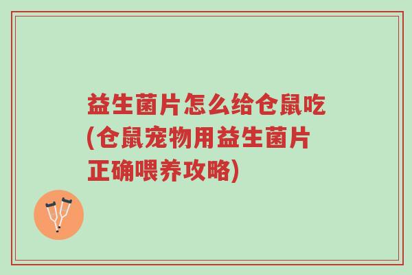 益生菌片怎么给仓鼠吃(仓鼠宠物用益生菌片正确喂养攻略)-第1张图片-超越 益生菌片怎么给仓鼠吃(仓鼠宠物用益生菌片正确喂养攻略)-第1张图片-超越