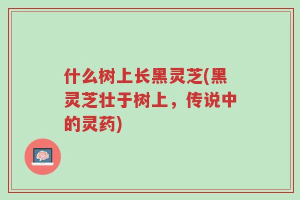 什么树上长黑灵芝(黑灵芝壮于树上,传说中的灵药)-第1张图片-超越 什么树上长黑灵芝(黑灵芝壮于树上,传说中的灵药)-第1张图片-超越