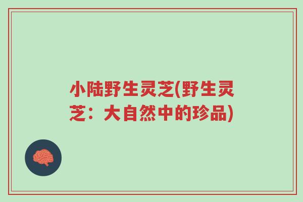 小陆野生灵芝(野生灵芝:大自然中的珍品)-第1张图片-超越 小陆野生灵芝(野生灵芝:大自然中的珍品)-第1张图片-超越