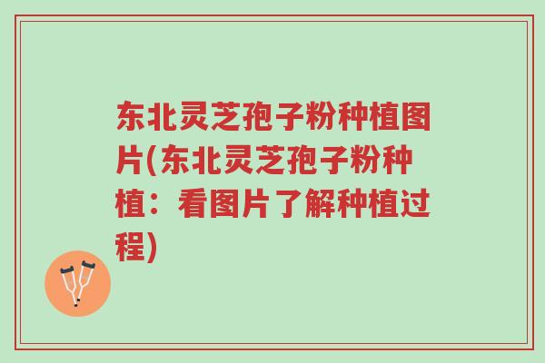 东北灵芝孢子粉种植图片(东北灵芝孢子粉种植：看图片了解种植过程)-第1张图片-超越