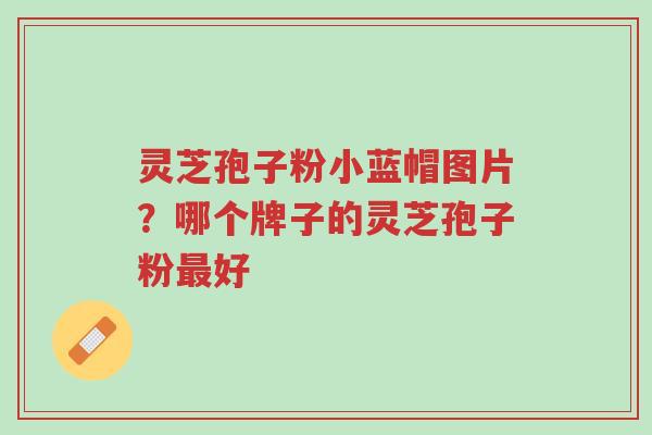 灵芝孢子粉小蓝帽图片?哪个牌子的灵芝孢子粉最好-第1张图片-超越 灵芝孢子粉小蓝帽图片?哪个牌子的灵芝孢子粉最好-第1张图片-超越