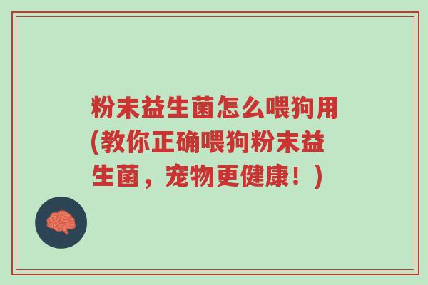 粉末益生菌怎么喂狗用(教你正确喂狗粉末益生菌,宠物更健康!)-第1张图片-超越 粉末益生菌怎么喂狗用(教你正确喂狗粉末益生菌,宠物更健康!)-第1张图片-超越
