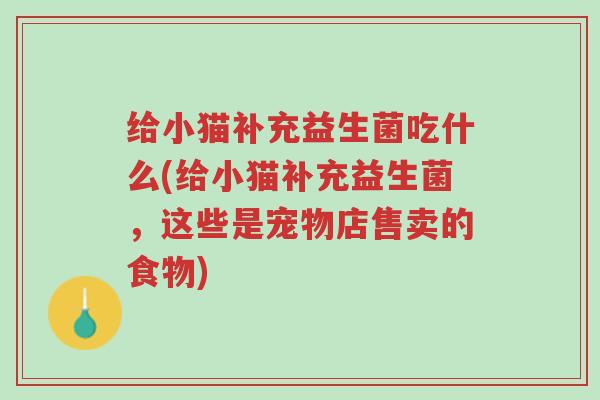 给小猫补充益生菌吃什么(给小猫补充益生菌,这些是宠物店售卖的食物)-第1张图片-超越 给小猫补充益生菌吃什么(给小猫补充益生菌,这些是宠物店售卖的食物)-第1张图片-超越