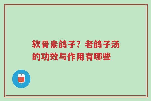 软骨素鸽子?老鸽子汤的功效与作用有哪些-第1张图片-超越 软骨素鸽子?老鸽子汤的功效与作用有哪些-第1张图片-超越
