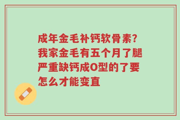 成年金毛补钙软骨素?我家金毛有五个月了腿严重缺钙成O型的了要怎么才能变直-第1张图片-超越 成年金毛补钙软骨素?我家金毛有五个月了腿严重缺钙成O型的了要怎么才能变直-第1张图片-超越