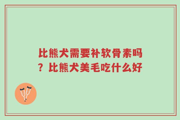 比熊犬需要补软骨素吗?比熊犬美毛吃什么好-第1张图片-超越 比熊犬需要补软骨素吗?比熊犬美毛吃什么好-第1张图片-超越