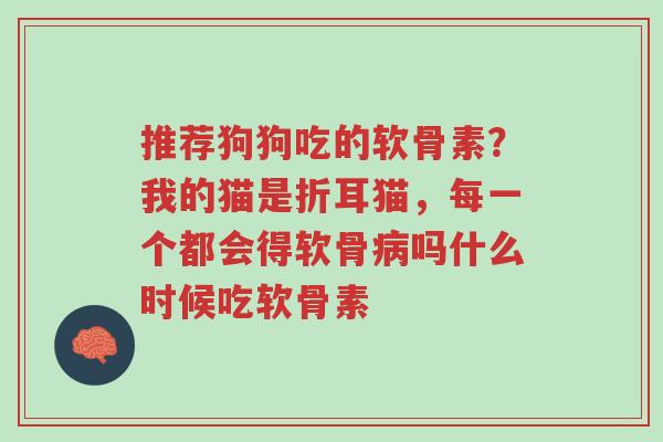 推荐狗狗吃的软骨素?我的猫是折耳猫,每一个都会得软骨病吗什么时候吃软骨素-第1张图片-超越 推荐狗狗吃的软骨素?我的猫是折耳猫,每一个都会得软骨病吗什么时候吃软骨素-第1张图片-超越