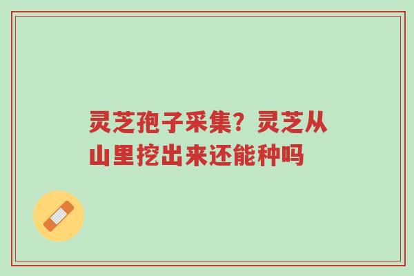 灵芝孢子采集?灵芝从山里挖出来还能种吗-第1张图片-超越 灵芝孢子采集?灵芝从山里挖出来还能种吗-第1张图片-超越