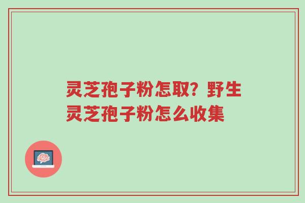 灵芝孢子粉怎取?野生灵芝孢子粉怎么收集-第1张图片-超越 灵芝孢子粉怎取?野生灵芝孢子粉怎么收集-第1张图片-超越
