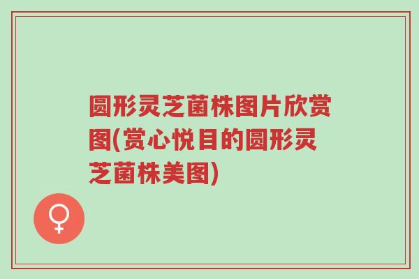 圆形灵芝菌株图片欣赏图(赏心悦目的圆形灵芝菌株美图)-第1张图片-超越 圆形灵芝菌株图片欣赏图(赏心悦目的圆形灵芝菌株美图)-第1张图片-超越
