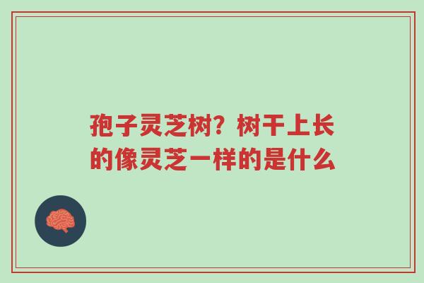 孢子灵芝树?树干上长的像灵芝一样的是什么-第1张图片-超越 孢子灵芝树?树干上长的像灵芝一样的是什么-第1张图片-超越