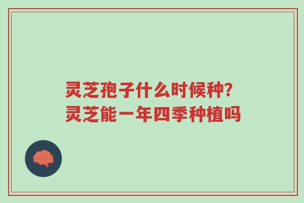 灵芝孢子什么时候种?灵芝能一年四季种植吗-第1张图片-超越 灵芝孢子什么时候种?灵芝能一年四季种植吗-第1张图片-超越
