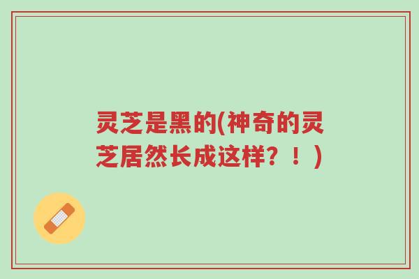 灵芝是黑的(神奇的灵芝居然长成这样?!)-第1张图片-超越 灵芝是黑的(神奇的灵芝居然长成这样?!)-第1张图片-超越
