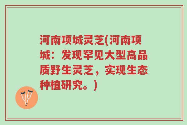 河南项城灵芝(河南项城:发现罕见大型高品质野生灵芝,实现生态种植研究。)-第1张图片-超越 河南项城灵芝(河南项城:发现罕见大型高品质野生灵芝,实现生态种植研究。)-第1张图片-超越
