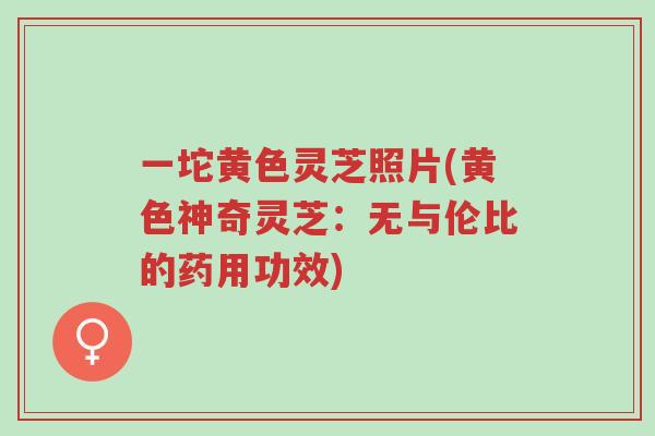 一坨黄色灵芝照片(黄色神奇灵芝:无与伦比的药用功效)-第1张图片-超越 一坨黄色灵芝照片(黄色神奇灵芝:无与伦比的药用功效)-第1张图片-超越