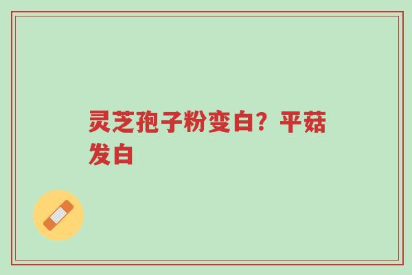 灵芝孢子粉变白?平菇发白-第1张图片-超越 灵芝孢子粉变白?平菇发白-第1张图片-超越