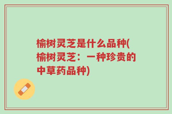 榆树灵芝是什么品种(榆树灵芝:一种珍贵的中草药品种)-第1张图片-超越 榆树灵芝是什么品种(榆树灵芝:一种珍贵的中草药品种)-第1张图片-超越