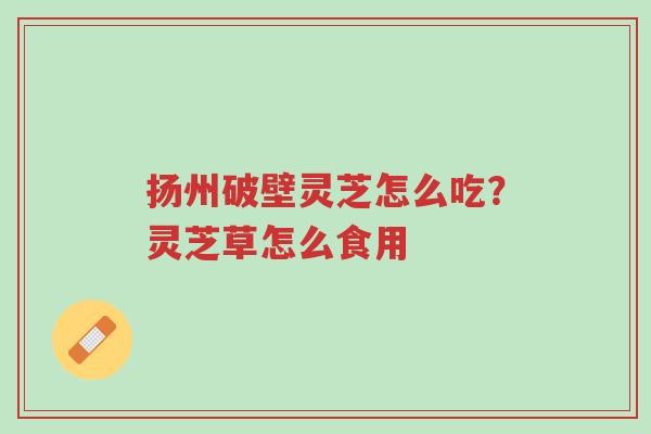 扬州破壁灵芝怎么吃？灵芝草怎么食用-第1张图片-超越