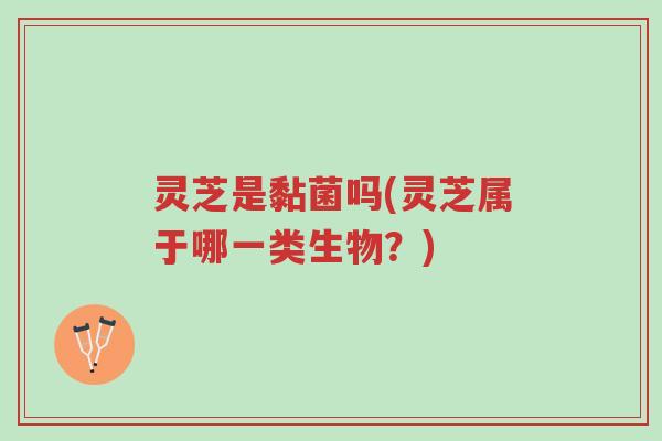 灵芝是黏菌吗(灵芝属于哪一类生物?)-第1张图片-超越 灵芝是黏菌吗(灵芝属于哪一类生物?)-第1张图片-超越