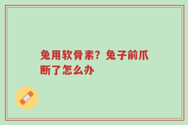 兔用软骨素?兔子前爪断了怎么办-第1张图片-超越 兔用软骨素?兔子前爪断了怎么办-第1张图片-超越