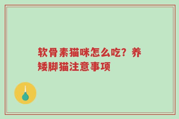 软骨素猫咪怎么吃？养矮脚猫注意事项-第1张图片-超越
