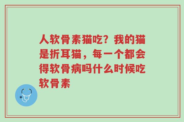 人软骨素猫吃?我的猫是折耳猫,每一个都会得软骨病吗什么时候吃软骨素-第1张图片-超越 人软骨素猫吃?我的猫是折耳猫,每一个都会得软骨病吗什么时候吃软骨素-第1张图片-超越