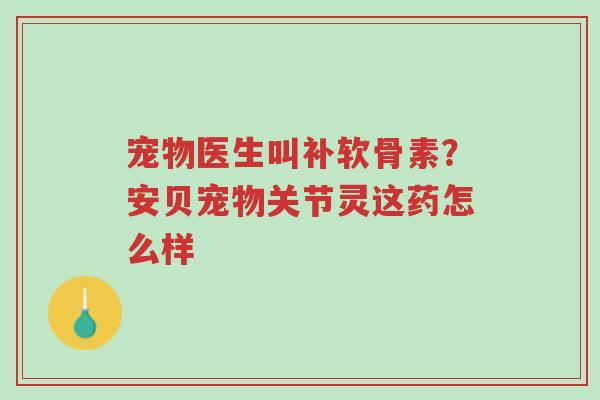宠物医生叫补软骨素?安贝宠物关节灵这药怎么样-第1张图片-超越 宠物医生叫补软骨素?安贝宠物关节灵这药怎么样-第1张图片-超越