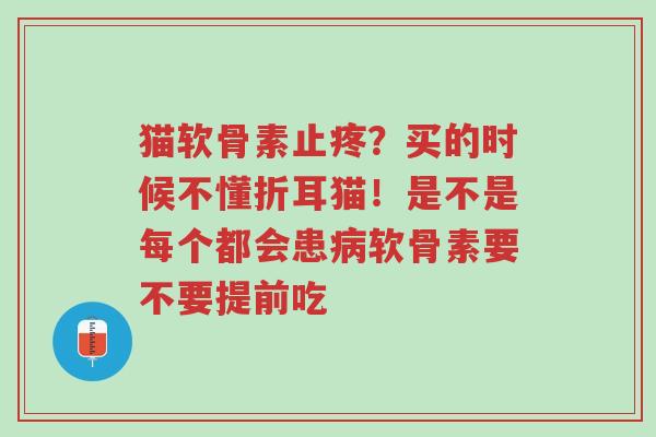 猫软骨素止疼?买的时候不懂折耳猫!是不是每个都会患病软骨素要不要提前吃-第1张图片-超越 猫软骨素止疼?买的时候不懂折耳猫!是不是每个都会患病软骨素要不要提前吃-第1张图片-超越