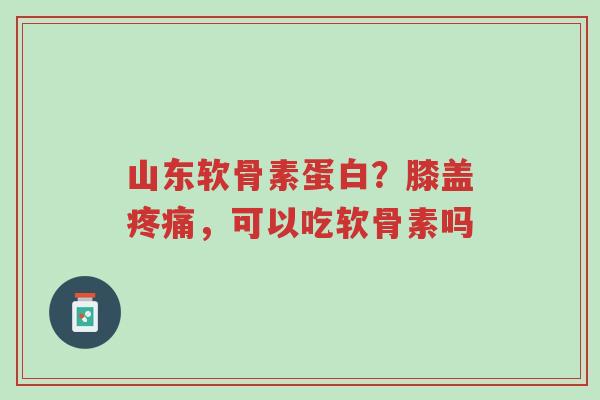 山东软骨素蛋白?膝盖疼痛,可以吃软骨素吗-第1张图片-超越 山东软骨素蛋白?膝盖疼痛,可以吃软骨素吗-第1张图片-超越