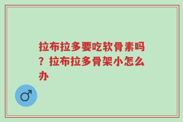 拉布拉多要吃软骨素吗?拉布拉多骨架小怎么办-第1张图片-超越 拉布拉多要吃软骨素吗?拉布拉多骨架小怎么办-第1张图片-超越
