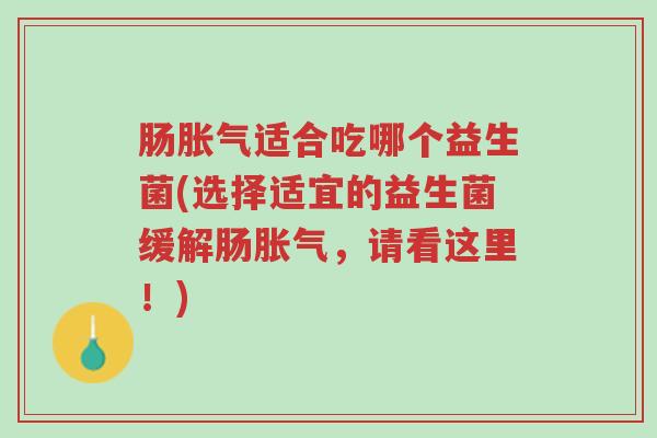 肠胀气适合吃哪个益生菌(选择适宜的益生菌缓解肠胀气,请看这里!)-第1张图片-超越 肠胀气适合吃哪个益生菌(选择适宜的益生菌缓解肠胀气,请看这里!)-第1张图片-超越