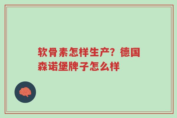 软骨素怎样生产?德国森诺堡牌子怎么样-第1张图片-超越 软骨素怎样生产?德国森诺堡牌子怎么样-第1张图片-超越