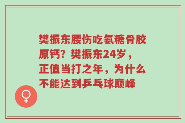 樊振东腰伤吃氨糖骨胶原钙?樊振东24岁,正值当打之年,为什么不能达到乒乓球巅峰-第1张图片-超越 樊振东腰伤吃氨糖骨胶原钙?樊振东24岁,正值当打之年,为什么不能达到乒乓球巅峰-第1张图片-超越
